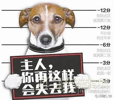 「丹东启动2018年养犬登记工作」宠物狗不办这个可能被强制收容