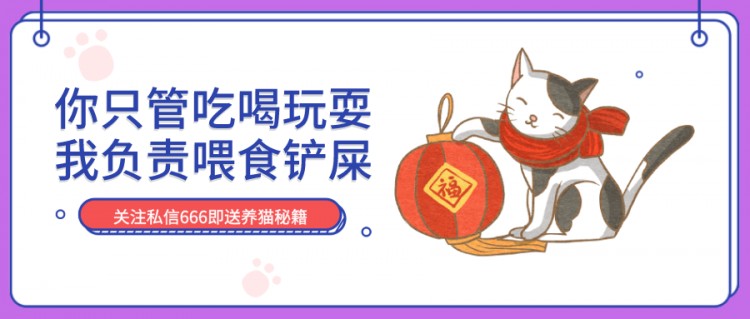 猫毛会吸进肺里？怀孕不能养猫？常见的养猫谣言大辟谣（上）