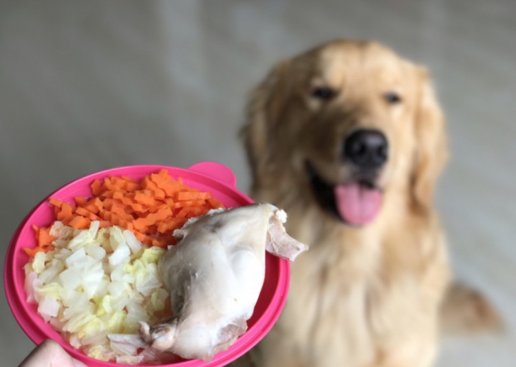 狗狗吃鸡胸肉好处多但有一种喂食方法要注意