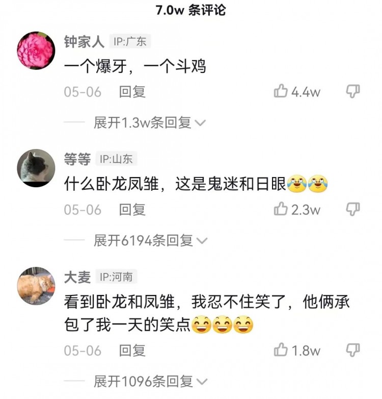 猫界卧龙凤雏丑哭网友小姐姐：再丑也是我的宝贝