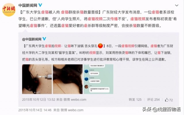 面对虐猫事件我们除了谴责还能做什么